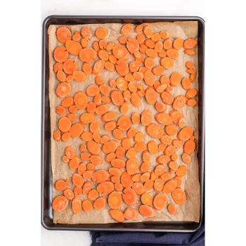 Frozen Carrot (19)-3386526-9376.webp